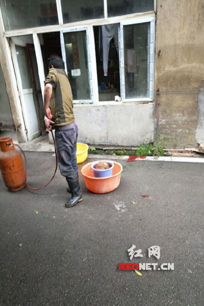 5月8日，男子在校園里殺狗，地上殘留一塊血跡。目擊者供圖。