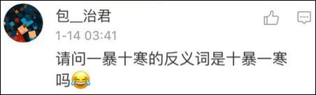 鶴立雞群？雞立鶴群！