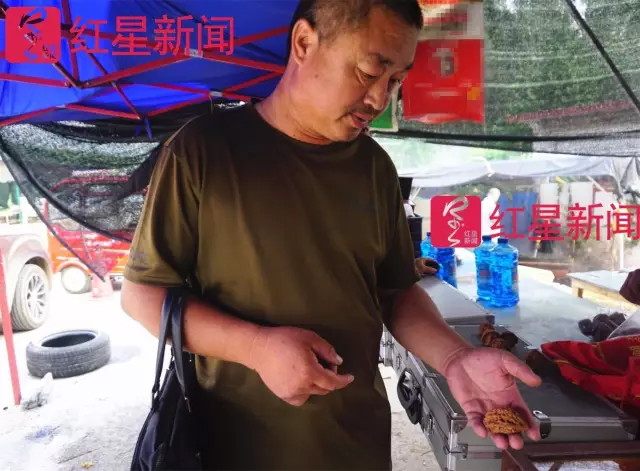 文玩核桃遇冷由幾萬(wàn)一對(duì)降到5元沒(méi)人要？商戶否認(rèn)