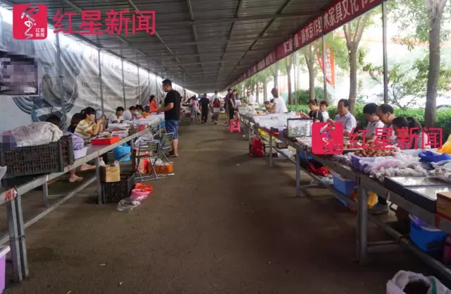 文玩核桃遇冷由幾萬(wàn)一對(duì)降到5元沒(méi)人要？商戶否認(rèn)