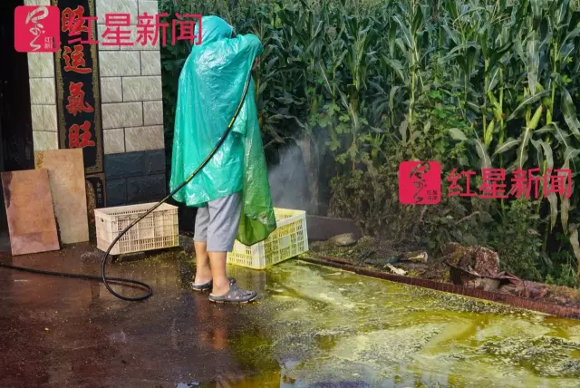 文玩核桃遇冷由幾萬(wàn)一對(duì)降到5元沒(méi)人要？商戶否認(rèn)