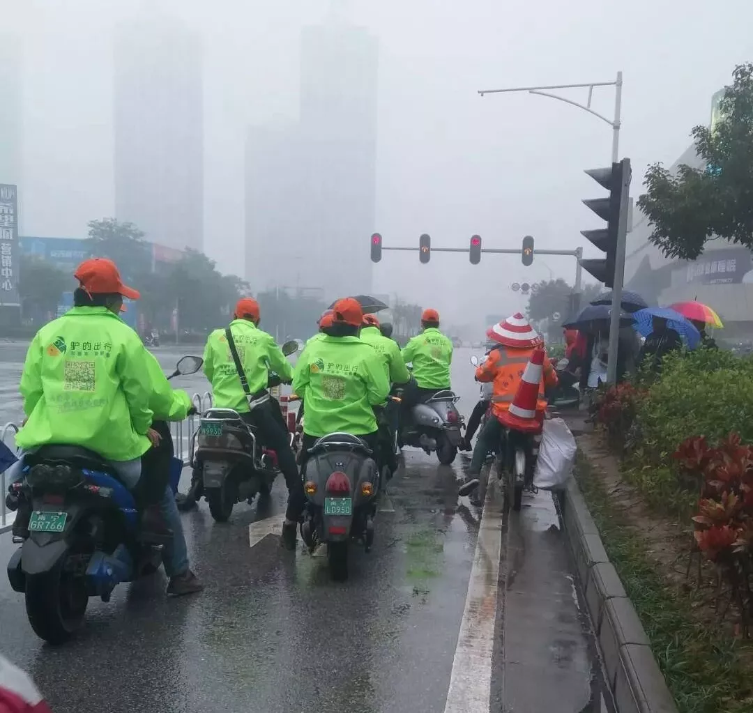 出門打驢？ 南寧“滴滴打驢”被緊急叫停
