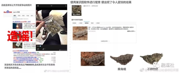 PGone又教給我們一個新詞：虐粉。