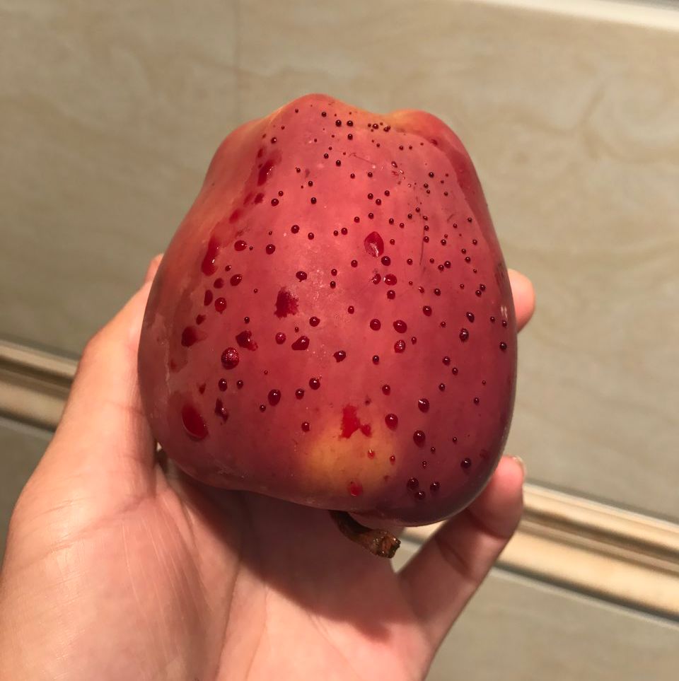 嚇懵！女子用熱水泡蘋果結(jié)果冒出血珠 咋回事？