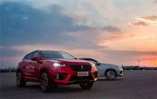 去年“蹦”出來的新汽車品牌們，現(xiàn)在活得怎么樣了？