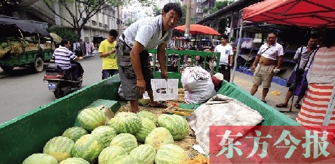 因為夜里睡太沉，來鄭州賣瓜的開封瓜農姚老漢不但丟錢還丟瓜