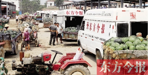 昨日，東方今報(bào)與河南福壽園聯(lián)合購(gòu)瓜，只有更多的市民和企業(yè)加入購(gòu)瓜行動(dòng)，瓜農(nóng)們才能早日回家