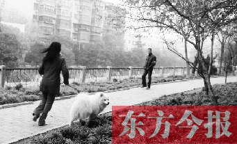 12月3日，鄭州市南關(guān)街熊兒河旁，一名遛狗的女子見到執(zhí)法人員檢查，迅速跑開