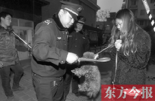 12月3日早上6點(diǎn)半，鄭州市南關(guān)街熊兒河旁，南關(guān)街辦事處的執(zhí)法人員對狗進(jìn)行排查