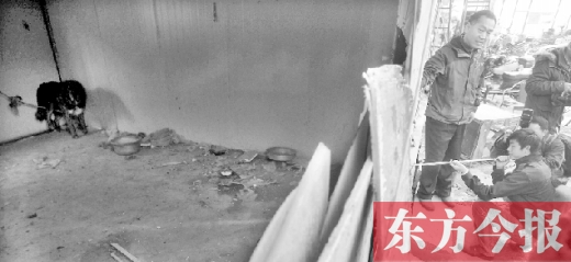 12月4日，鄭州市未來(lái)路與隴海路交叉口西側(cè)，執(zhí)法人員用吹管麻醉針對(duì)付一只藏獒