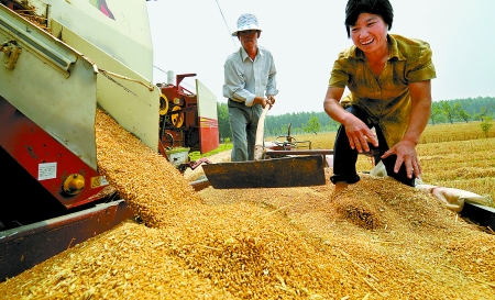 6月3日， 濮陽開發(fā)區(qū)胡村鄉(xiāng)后范莊村的續(xù)秀萍看著新打的粒大飽滿的小麥喜上眉梢。