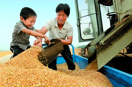5月27日，確山縣劉店鎮(zhèn)前槽村郭景蓮和小孫子一起收獲小麥，豐收的喜悅寫在了臉上。