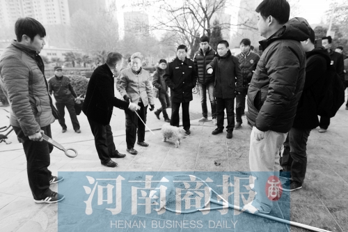 一只辦過(guò)狗證的小白狗，因?yàn)闆](méi)有拴犬鏈，被執(zhí)法人員暫扣