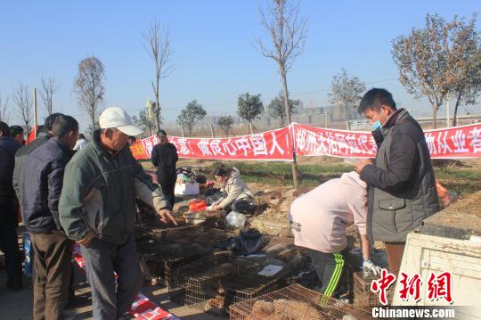 圖為百余名愛狗人士把老李的貨車攔截，數(shù)十人正在從貨車上卸下裝滿狗的鐵籠。　馬義恒　攝