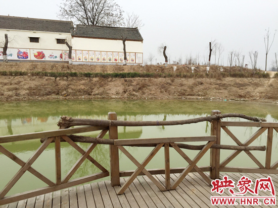 護(hù)欄損毀的地方，已經(jīng)被兩根樹(shù)干擋住。