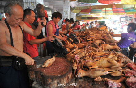玉林狗肉節(jié)。
