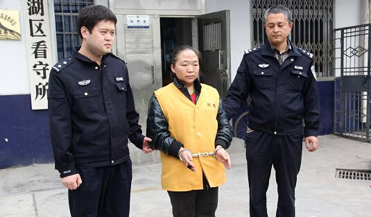被抓的王某，網(wǎng)友稱(chēng)：這不是大明湖畔的容嬤嬤么