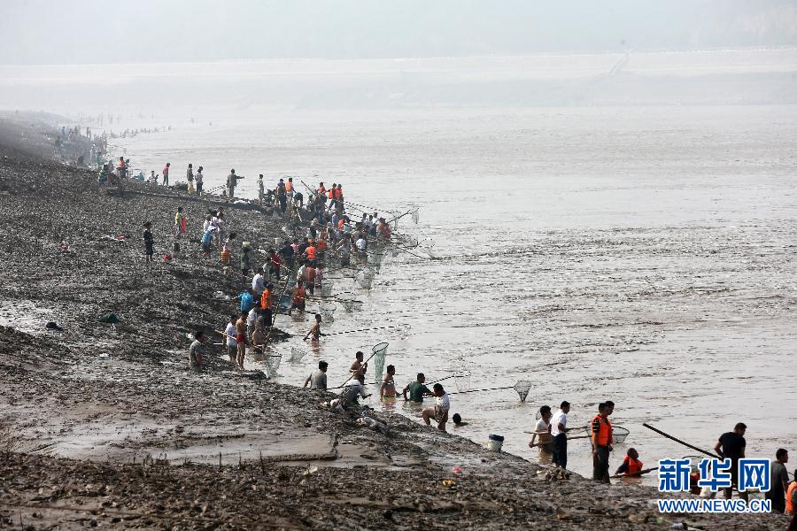 7月6日,在山西省平陸縣黃河岸邊,人們?cè)诤舆叢稉泣S河“流魚(yú)”。