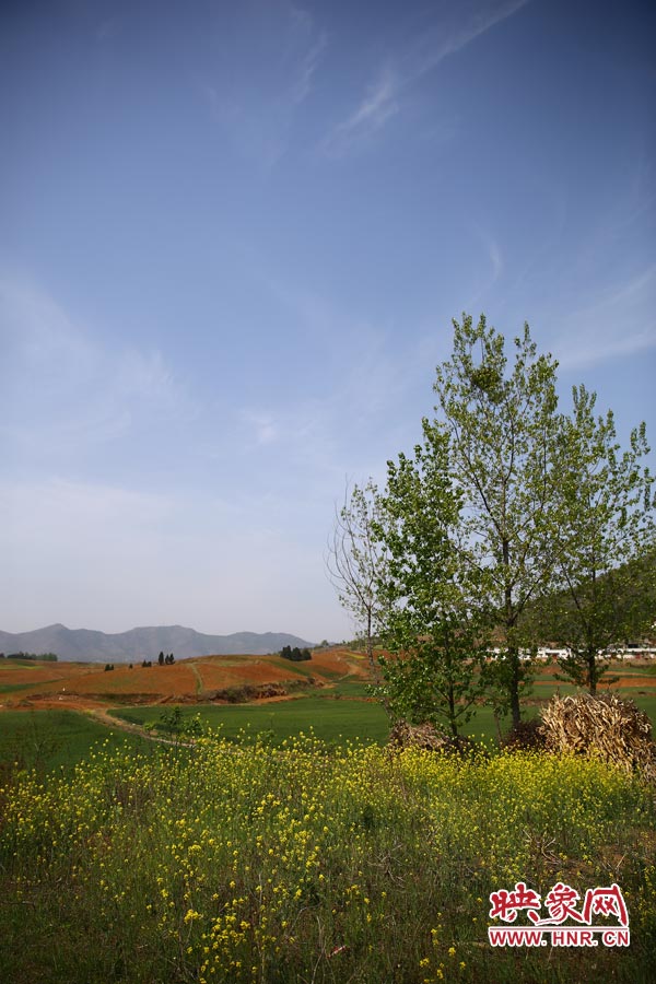庫(kù)區(qū)的藍(lán)天、白云、綠樹、黃花給人清新的享受
