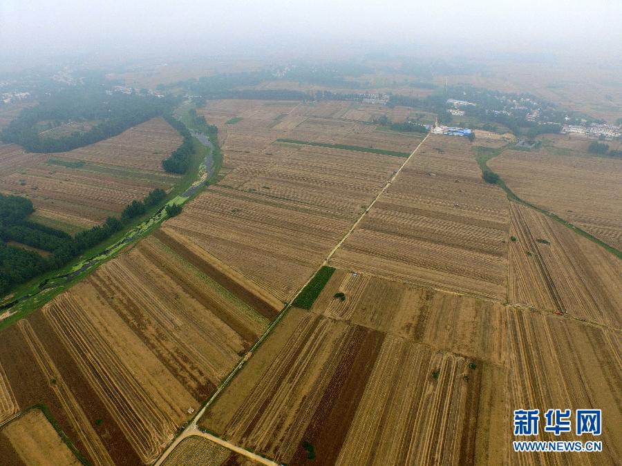 這是5月28日在河南省南陽(yáng)市唐河縣甘河灣村航拍的麥?zhǔn)宅F(xiàn)場(chǎng)。