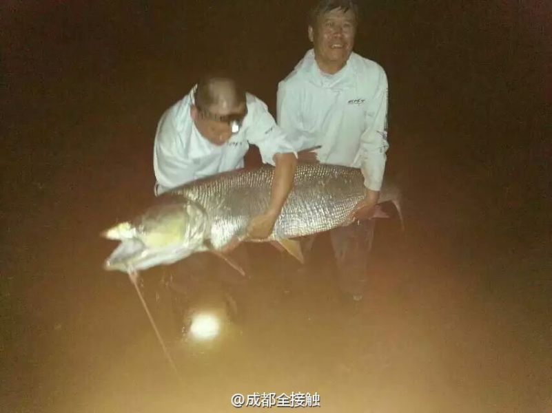 圖為大魚需要兩個(gè)人抱起。