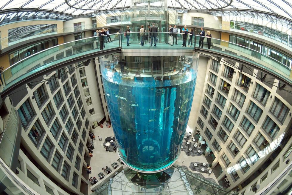 在圓柱水族館主體下方，還有一些別的展館。