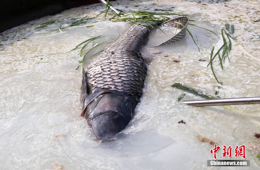 “魚(yú)王”在3米大鍋內(nèi)烹飪。 圖片來(lái)源：CFP視覺(jué)中國(guó)