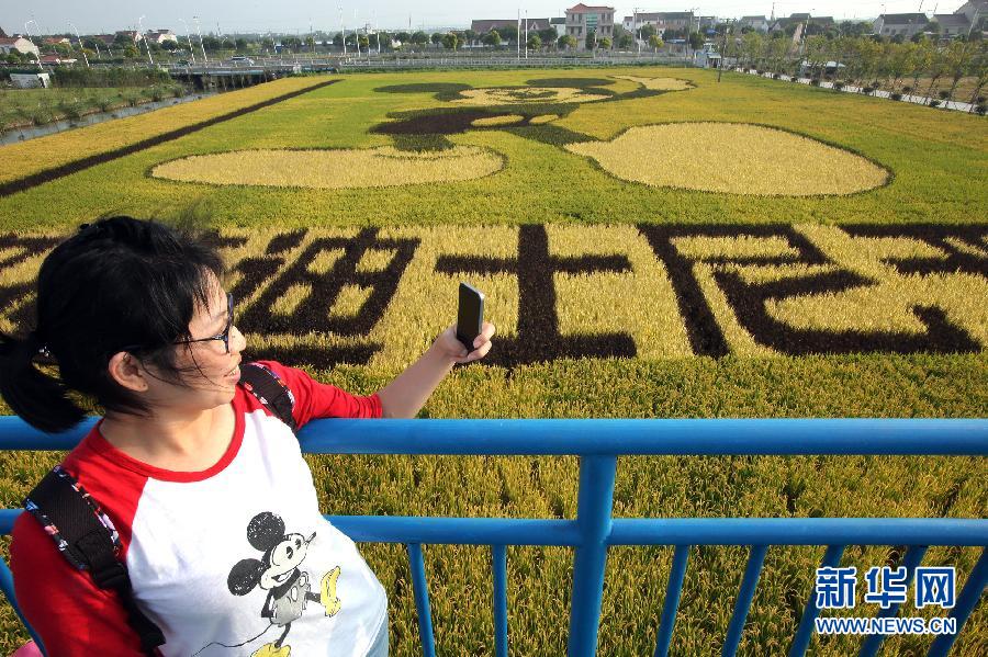 10月25日，游客在觀景臺上觀賞“米老鼠”稻田畫。