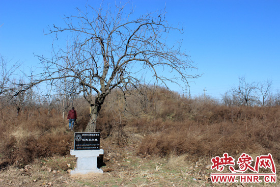 在叔齊墓的前面，豎著新鄭市人民政府今年剛立的石碑，上面寫著“新鄭市文物保護單位”。