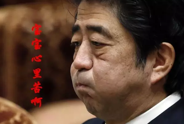 這種看安倍“熱鬧”的事兒，環(huán)環(huán)絕不私藏，一定雨露均沾!