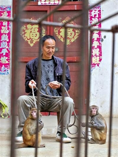 10月13日，耍猴人鮑慶山牽著從牡丹江帶回的兩只小猴在家門口玩耍。