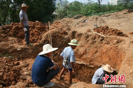 巖橋村廟山地區(qū)考古現(xiàn)場。　桐廬文管辦　攝