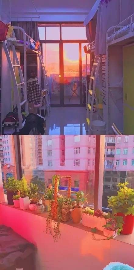 這個(gè)學(xué)校的男生宿舍火了！女同學(xué)都喊著要嫁