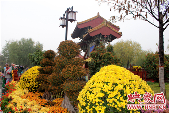 天好、花美 中國(guó)開封第32屆菊花文化節(jié)延長(zhǎng)一周