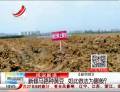 新修馬路種黃豆  如此做法為哪般？
