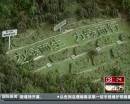 “垃圾場”拍婚紗：玩噱頭還是做環(huán)保？