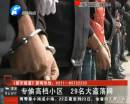 專(zhuān)偷高檔小區(qū) 29名大盜落網(wǎng)