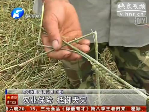 農業(yè)保險能挽回多少天災損失
