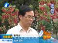 張可云：發(fā)展航空經濟 鄭州優(yōu)勢明顯