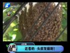 這看的 頭皮發(fā)麻呀！-打漁曬網(wǎng)