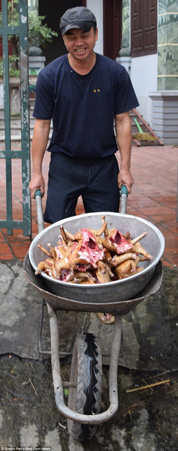越南貓肉餐廳：將貓淹死、剝皮、切成小塊，再油炸